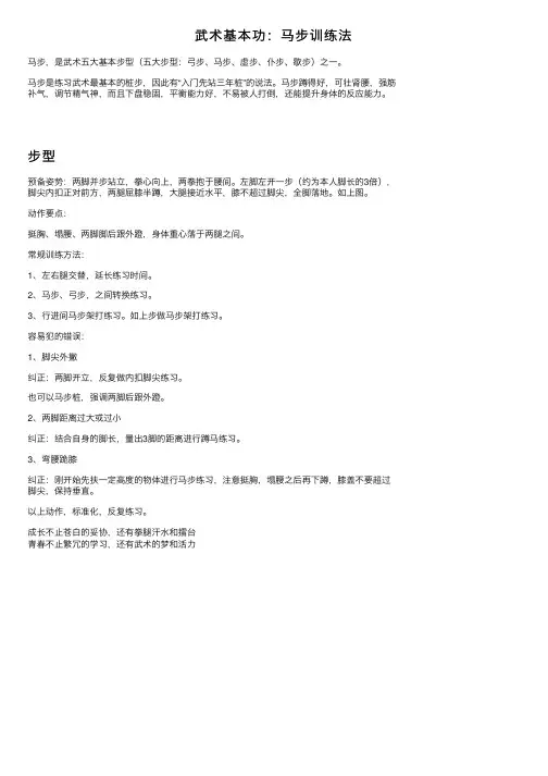 武术基本功：马步训练法