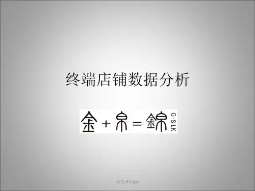 店铺分析ppt课件