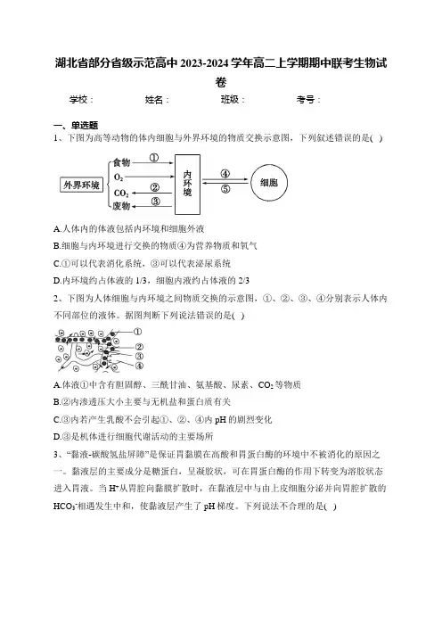 湖北省部分省级示范高中2023-2024学年高二上学期期中联考生物试卷(含答案)