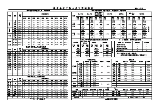 事业单位工作人员工资标准表单位元月