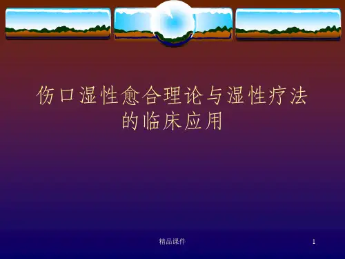 伤口湿性愈合理论及临床应用ppt课件