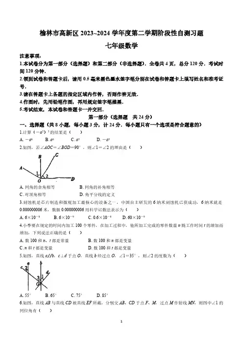 陕西省榆林市高新区2023-2024学年七年级下学期期中数学试题(含答案)