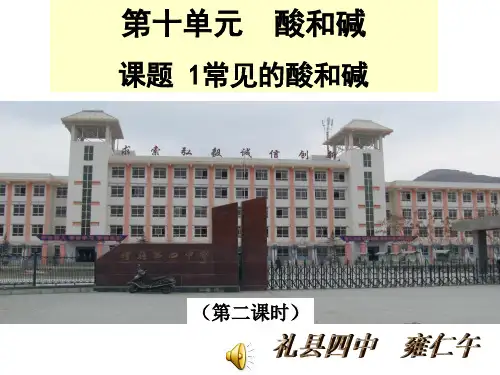 九年级化学第九单元课题1常见的酸和碱(第二课时)