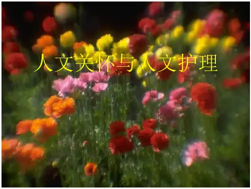 人文关怀和人文_护理 