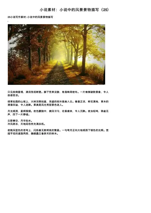 小说素材：小说中的风景景物描写（25）