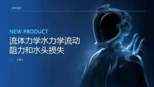流体力学 水力学 流动阻力和水头损失
