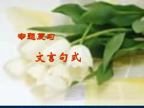 文言文复习之被动句省略句判断句(实用)