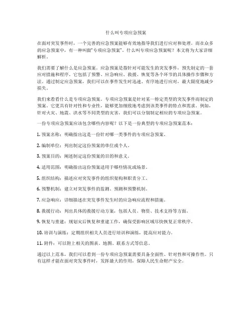 什么叫专项应急预案