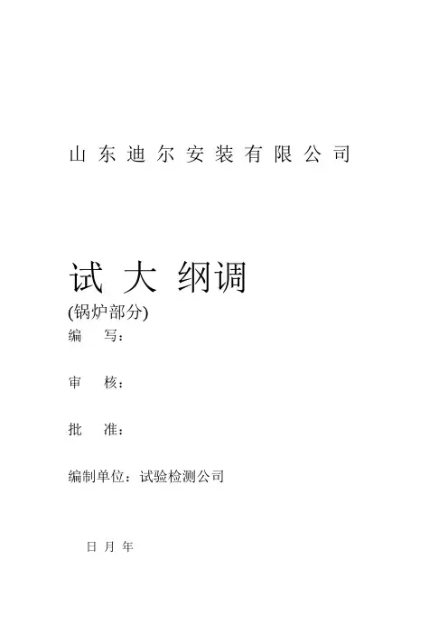 锅炉调试大纲