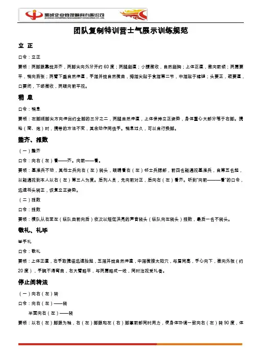 团队士气展示训练规范
