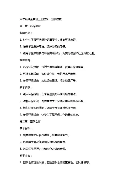 六年级综合实践上册教学计划及教案