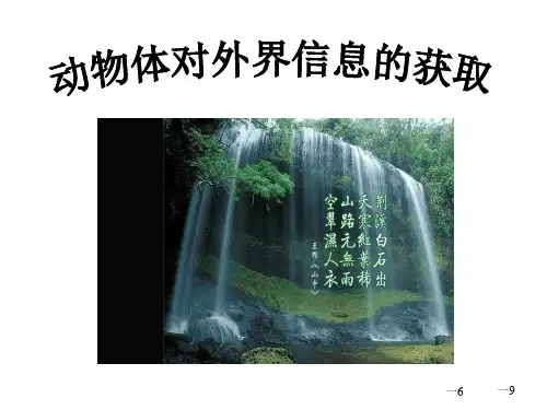 沪科版高中生命科学第二册5.1《动物体对外界信息的获取》ppt课件1