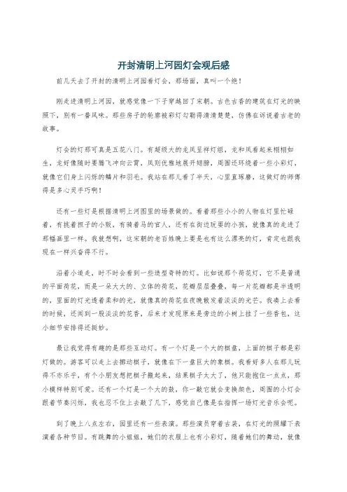 开封清明上河园灯会观后感