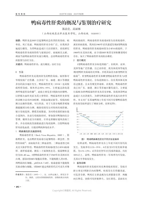 鸭病毒性肝炎的概况与鉴别治疗研究