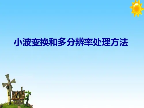 小波变换和多分辨率处理方法
