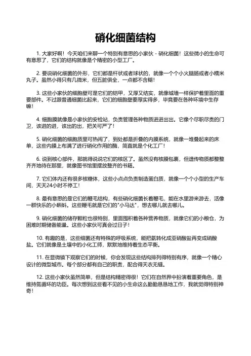 硝化细菌结构