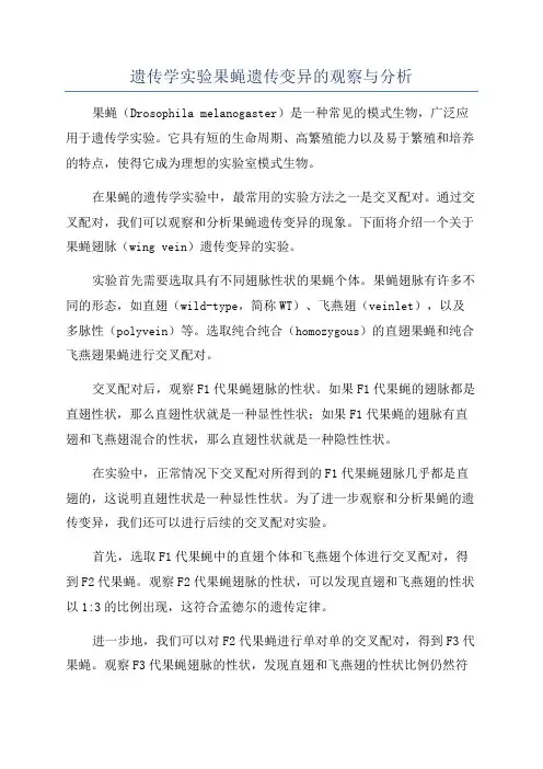 遗传学实验果蝇遗传变异的观察与分析