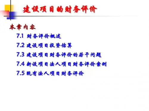 建设项目的财务评价-PPT精品