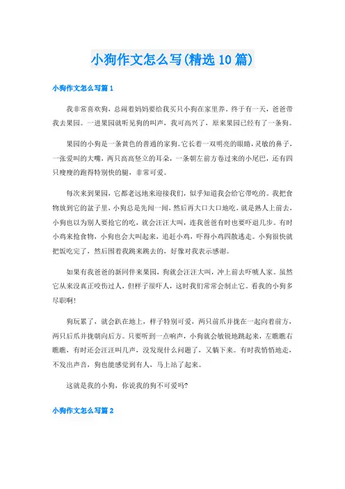 小狗作文怎么写(精选10篇)