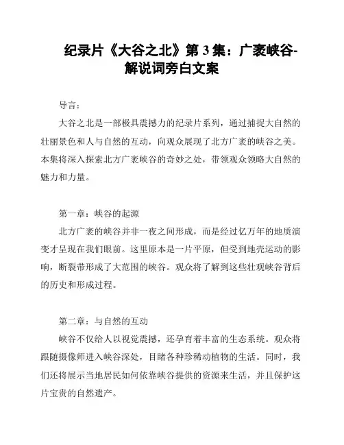 纪录片《大谷之北》第3集：广袤峡谷-解说词旁白文案