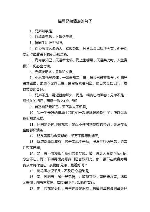 描写兄弟情深的句子