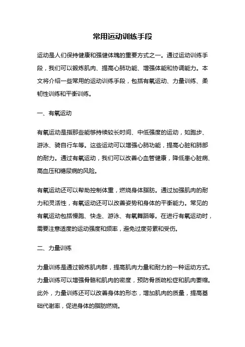 常用运动训练手段