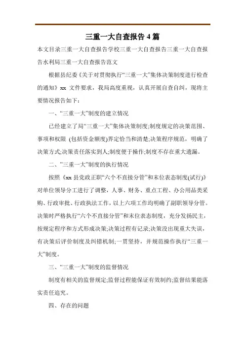 三重一大自查报告4篇