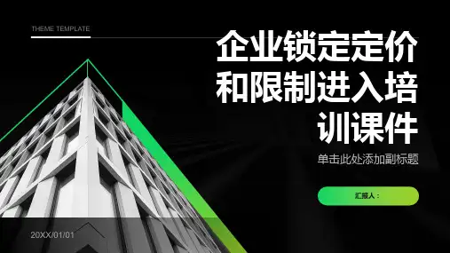 企业锁定定价和限制进入培训课件