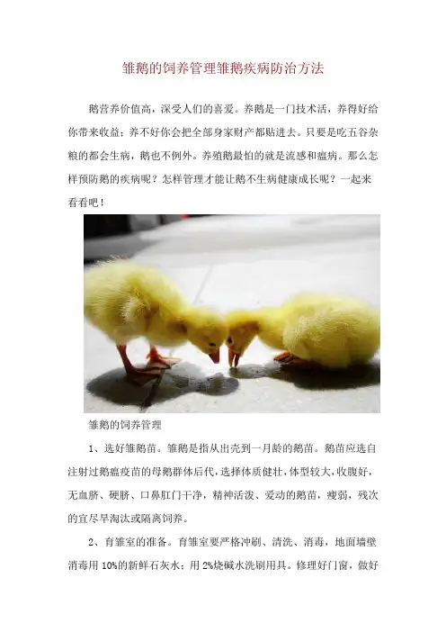 雏鹅的饲养管理 雏鹅疾病防治方法