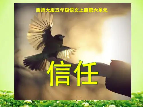 《信任》PPT课件