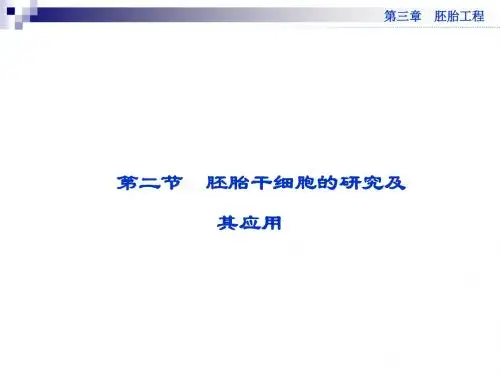 3.2胚胎干细胞的研究及其应用 课件(苏教版选修3)