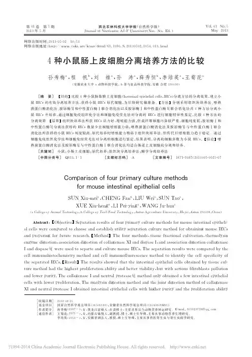 4种小鼠肠上皮细胞分离培养方法的比较_孙秀梅