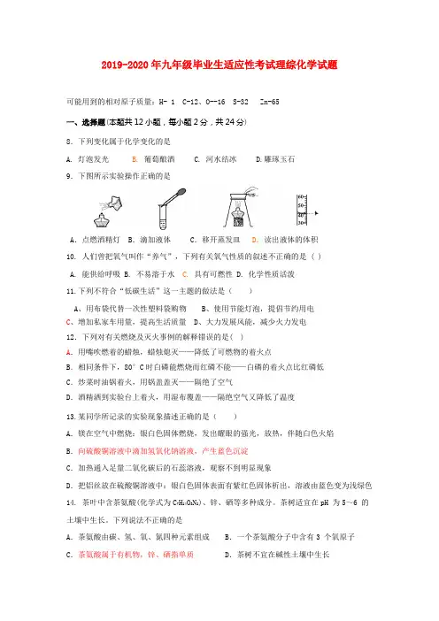 2019-2020年九年级毕业生适应性考试理综化学试题