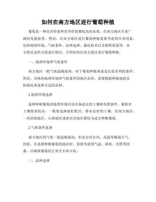 如何在南方地区进行葡萄种植