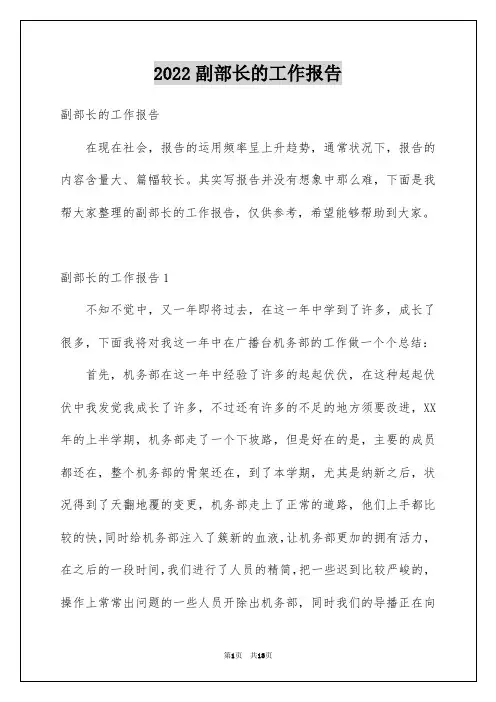 2022副部长的工作报告_1