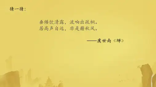 《蝉》ppt课件