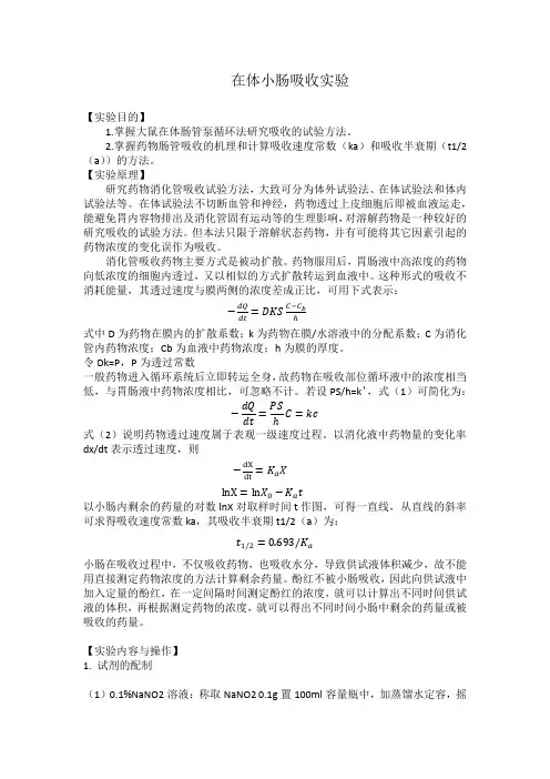 在体小肠吸收实验