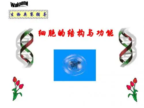 生物奥赛普生第二讲