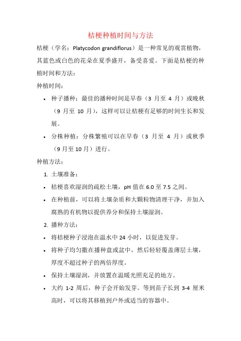 桔梗种植时间与方法