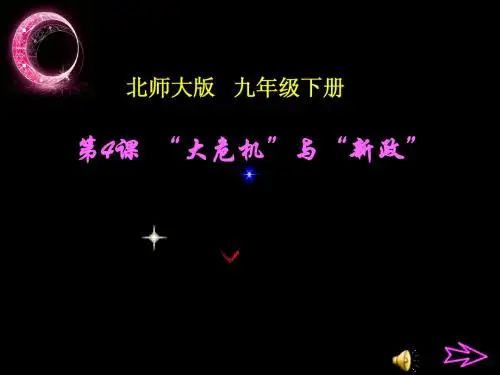 “大危机”与“新政”课件_北师大版_九年下册