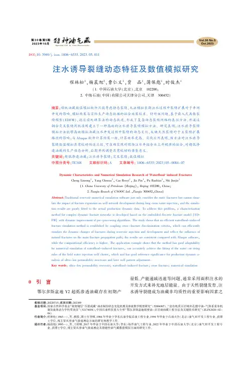 注水诱导裂缝动态特征及数值模拟研究