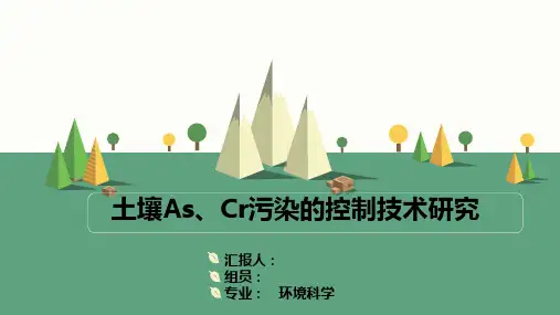 土壤砷_铬污染的控制技术
