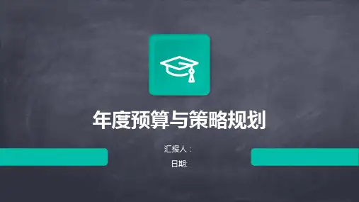 年度预算与策略规划