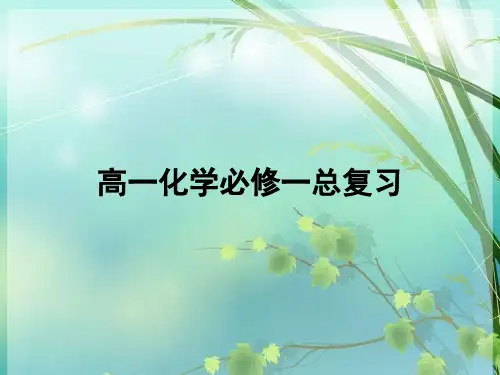高一化学必修一总复习 PPT课件 图文