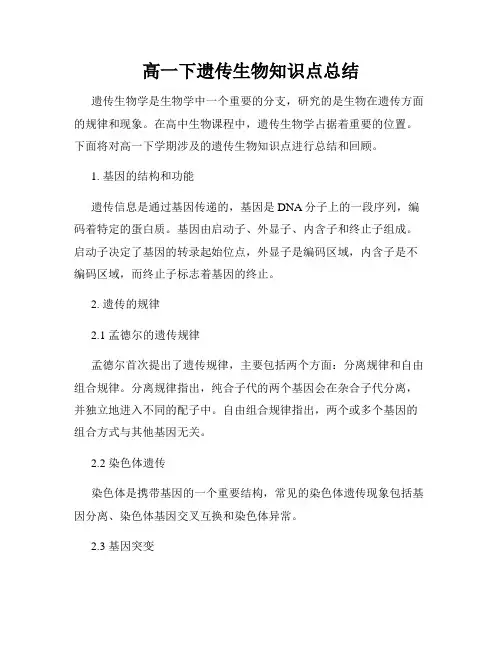 高一下遗传生物知识点总结
