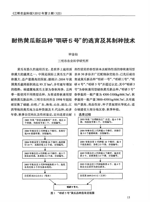 耐热黄瓜新品种“明研5号”的选育及其制种技术