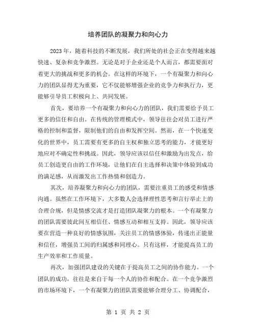 培养团队的凝聚力和向心力