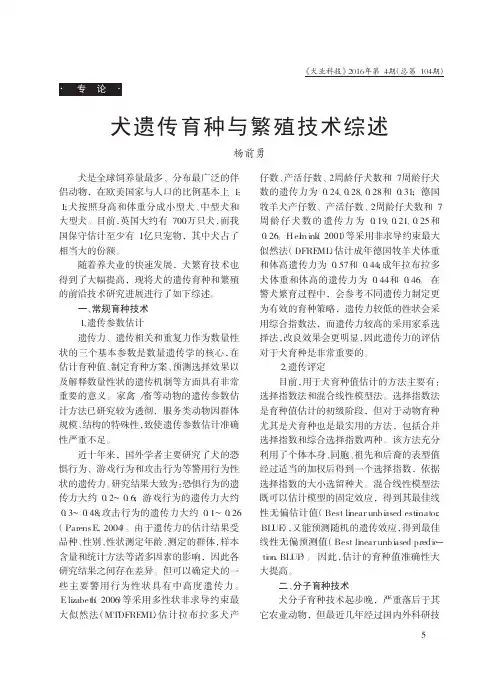 犬遗传育种与繁殖技术综述