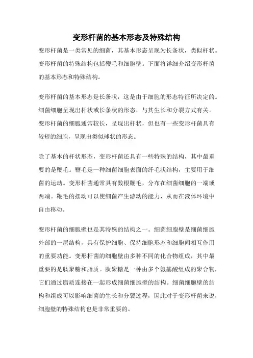 变形杆菌的基本形态及特殊结构