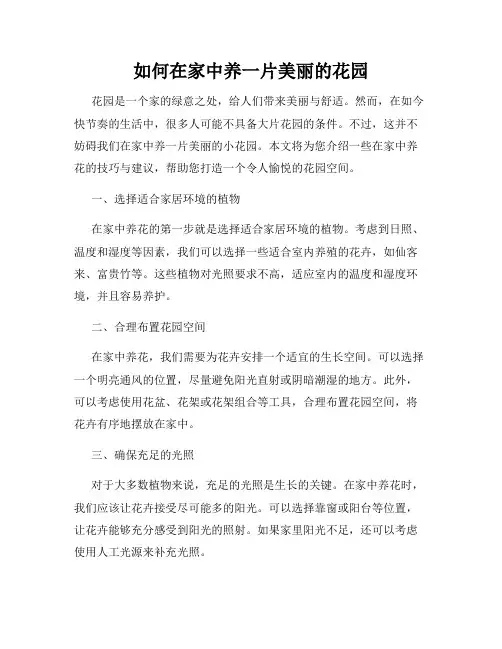如何在家中养一片美丽的花园